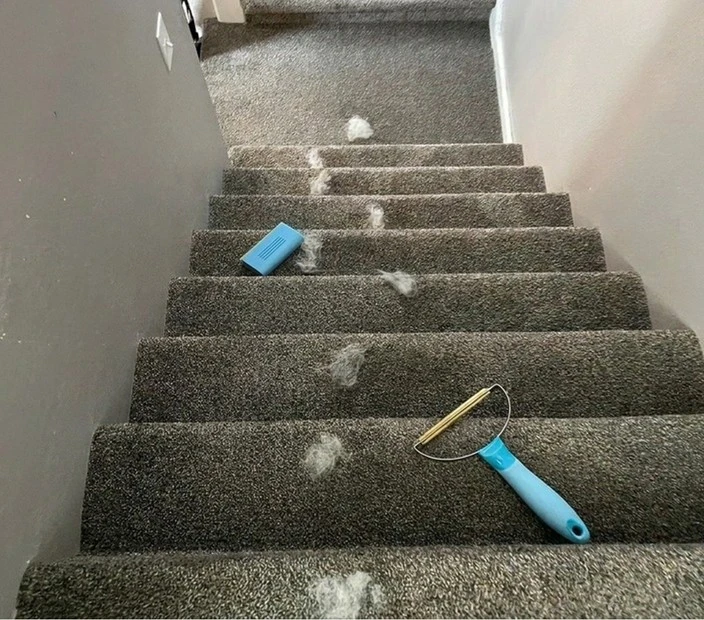 Petfect Cleaner Core - imagen 10